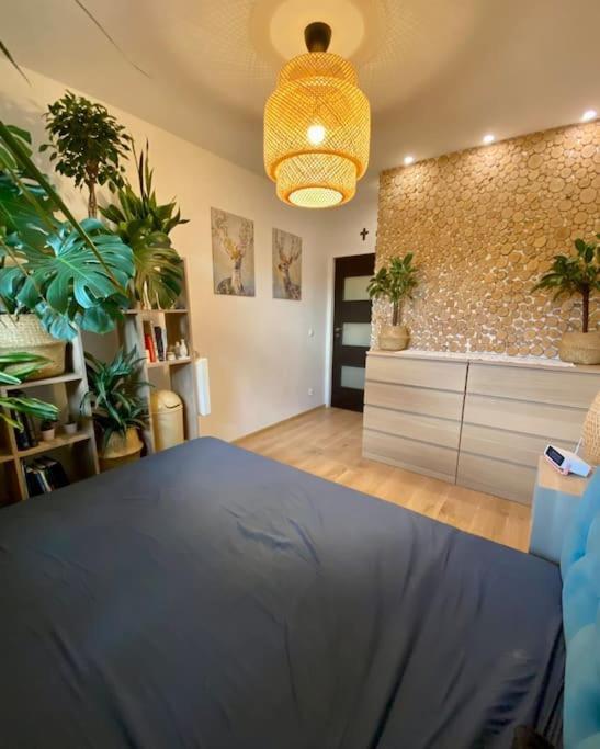 Apartment Kaczary Deluxe 56m2 Krakau